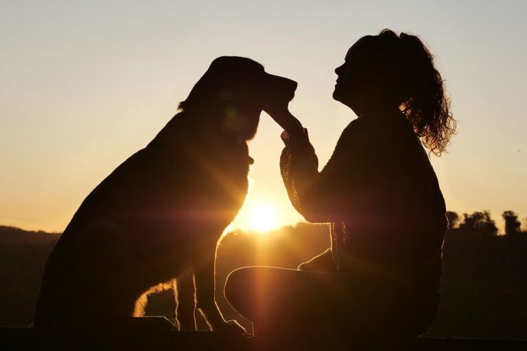 Preventative care for dogs
