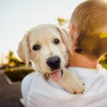 dog-3344414_1280 (3)